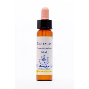 Healing Herbs - Centaury (Centaurée)