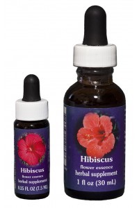 FES Hibiscus