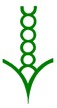 FES Lilac (Lilas) 7,5ml