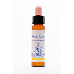 Healing Herbs - Rock Rose (Hélianthème)