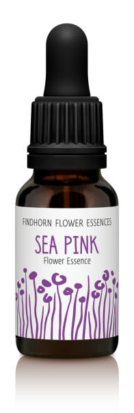 Findhorn Sea Pink 15ml