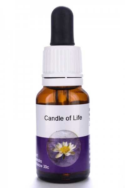 Living Candle of Life 15ml
