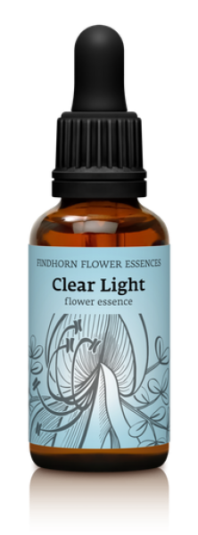 Findhorn - Clear Light 30ml