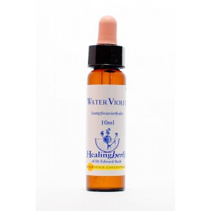 Healing Herbs - Water Violet (Violette d'Eau ou Hottonie des marais)