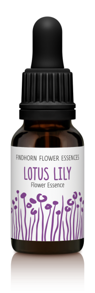 Findhorn Flower Essences Lotus Lily 15 ml