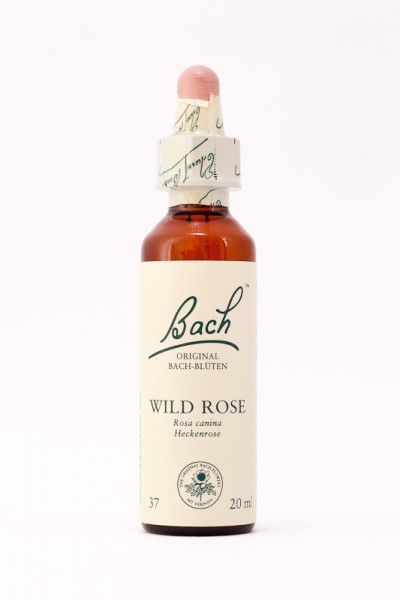 Bach Original - Wild Rose (Heckenrose, Hundsrose) 20ml