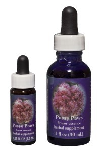 FES - Pussy Paws (Alpine Cistanthe) 7,5ml