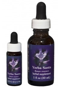FES Yerba Santa (Violet)