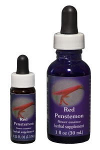 FES - Red Penstemon (Roter Bartfaden) 7,5ml