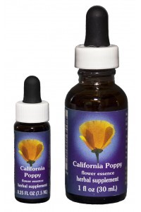 F.E.S. - California Poppy (Kalif. Goldmohn)