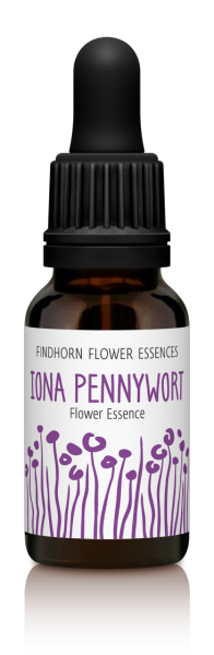 Findhorn - Iona Pennywort 15ml