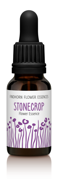 Findhorn - Stonecrop 15ml