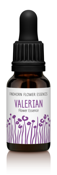 Findhorn - Valerian 15ml