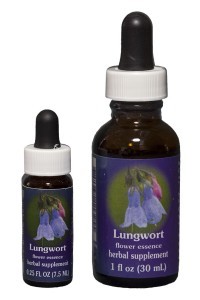 FES - Lungwort 7,5ml