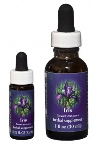 F.E.S. - Iris (Schwertlilie)