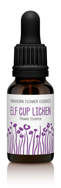 Findhorn - Elf Cup Lichen 15ml