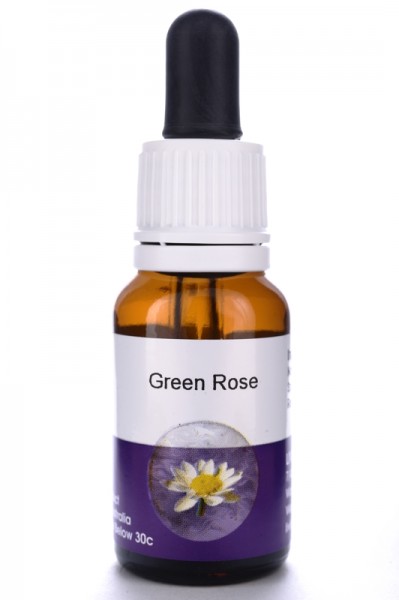 Living Essences Green Rose 15ml