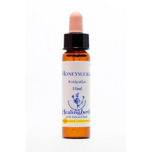 Healing Herbs - Honeysuckle (Chèvrefeuille)