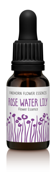 Findhorn Rose Water Lily 15ml
