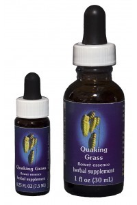 FES - Quaking Grass