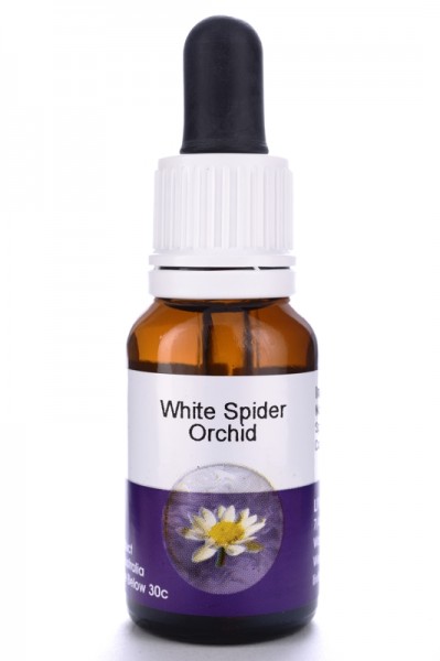 Living Essences White Spider Orchid 15ml