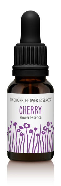 Findhorn - Cherry 15ml