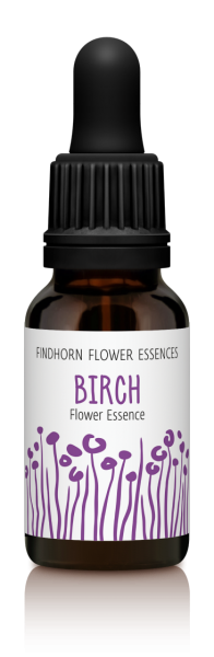 Findhorn - Birch 15ml