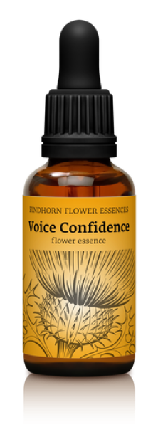 Findhorn - Voice Confidence / Lionheart 30ml