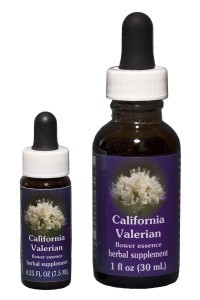 FES - California Valerian 7,5ml