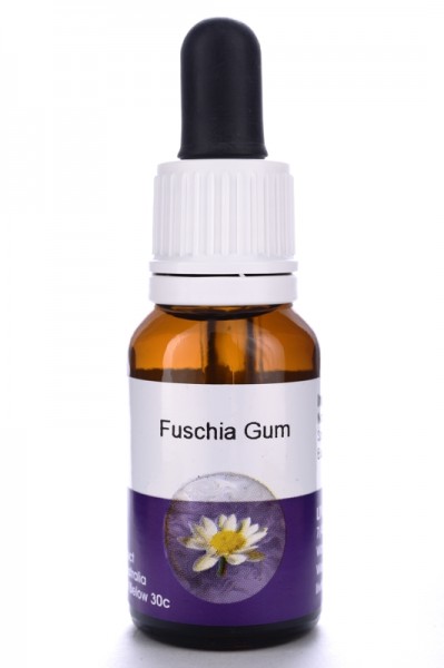 Fuchsia Gum 15ml