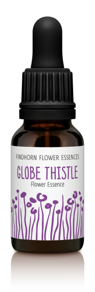 Findhorn - Globe Thistle 15ml