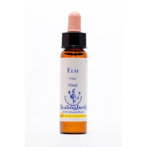 Healing Herbs - Elm (Ulme)