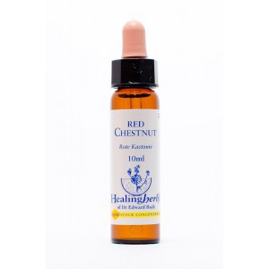 Healing Herbs - Red Chestnut (Rote Kastanie)
