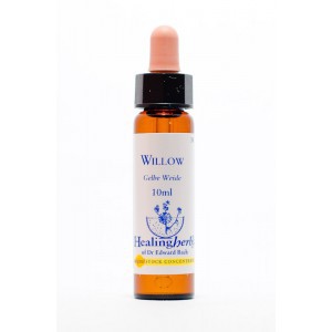 Healing Herbs - Willow (Saule)