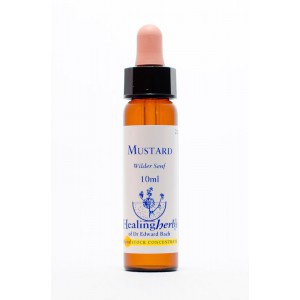 Healing Herbs - Mustard (Moutarde)
