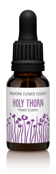 Holy Thorn 15ml