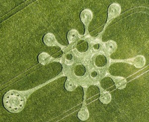 Korte PHI - Kornkreis Essenz Nr.214, Virus, Potterne Field Wilts, UK (2020)