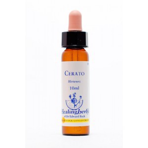 Healing Herbs - Cerato (Bleiwurz, Hornkraut)