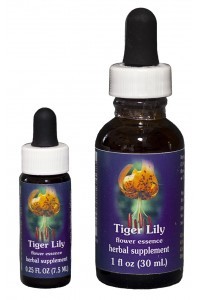 FES - Tiger Lily (lys tigré) 30ml DMC 11.2023