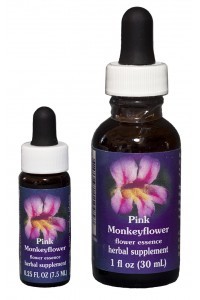 F.E.S. - Pink Monkeyflower (Rosa Gauklerblume)