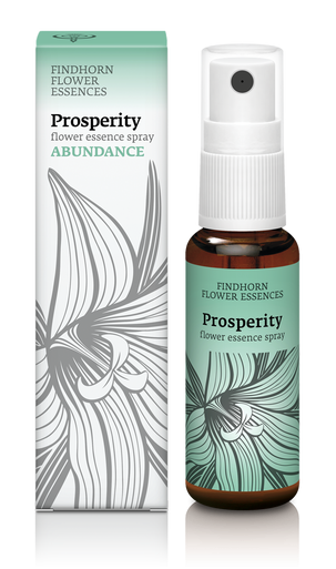 Findhorn Prosperity Oral Spray 25ml