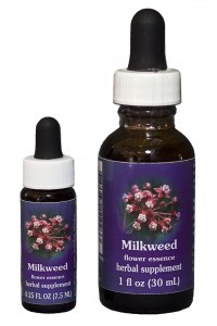 F.E.S. - Milkweed
