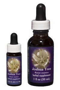 FES - Joshua Tree (Yuccapalme) 7,5 ml