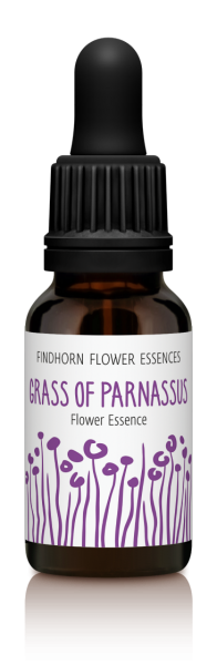 Findhorn - Grass of Parnassus 15ml