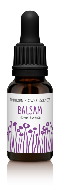 Findhorn - Balsam 15ml