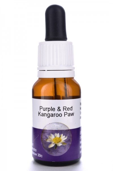Living Essences Purple and Red Kangaroo Paw 15ml