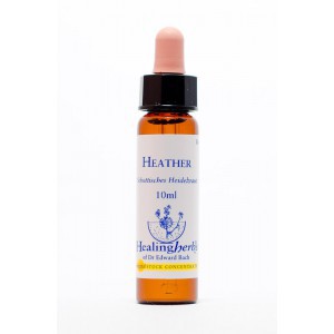 Healing Herbs - Heather (Bruyère)