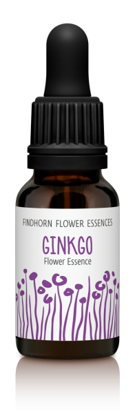 Findhorn - Ginkgo 15ml
