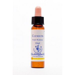 Healing Herbs - Clematis (Clématite)