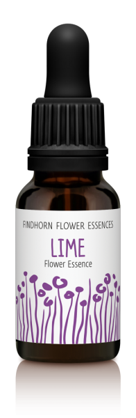 Findhorn - Lime 15ml